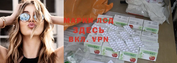 шишки Инта