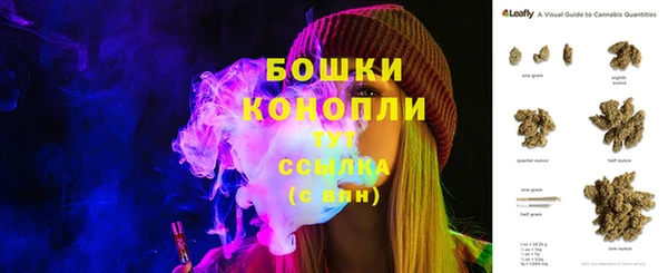 шишки Инта