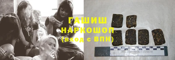 шишки Инта