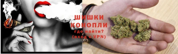 шишки Инта