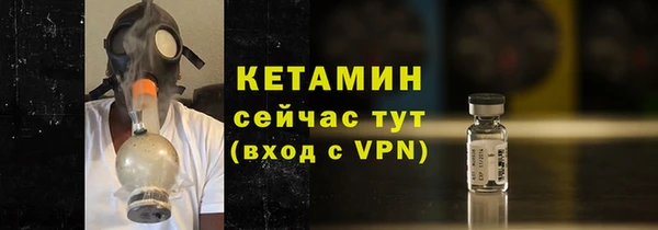 шишки Инта