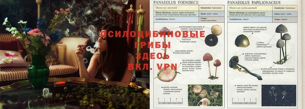 прущая мука Зеленодольск
